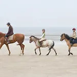 Barriere Le Normandy Deauville