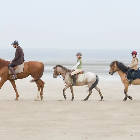 Barriere Le Normandy Deauville